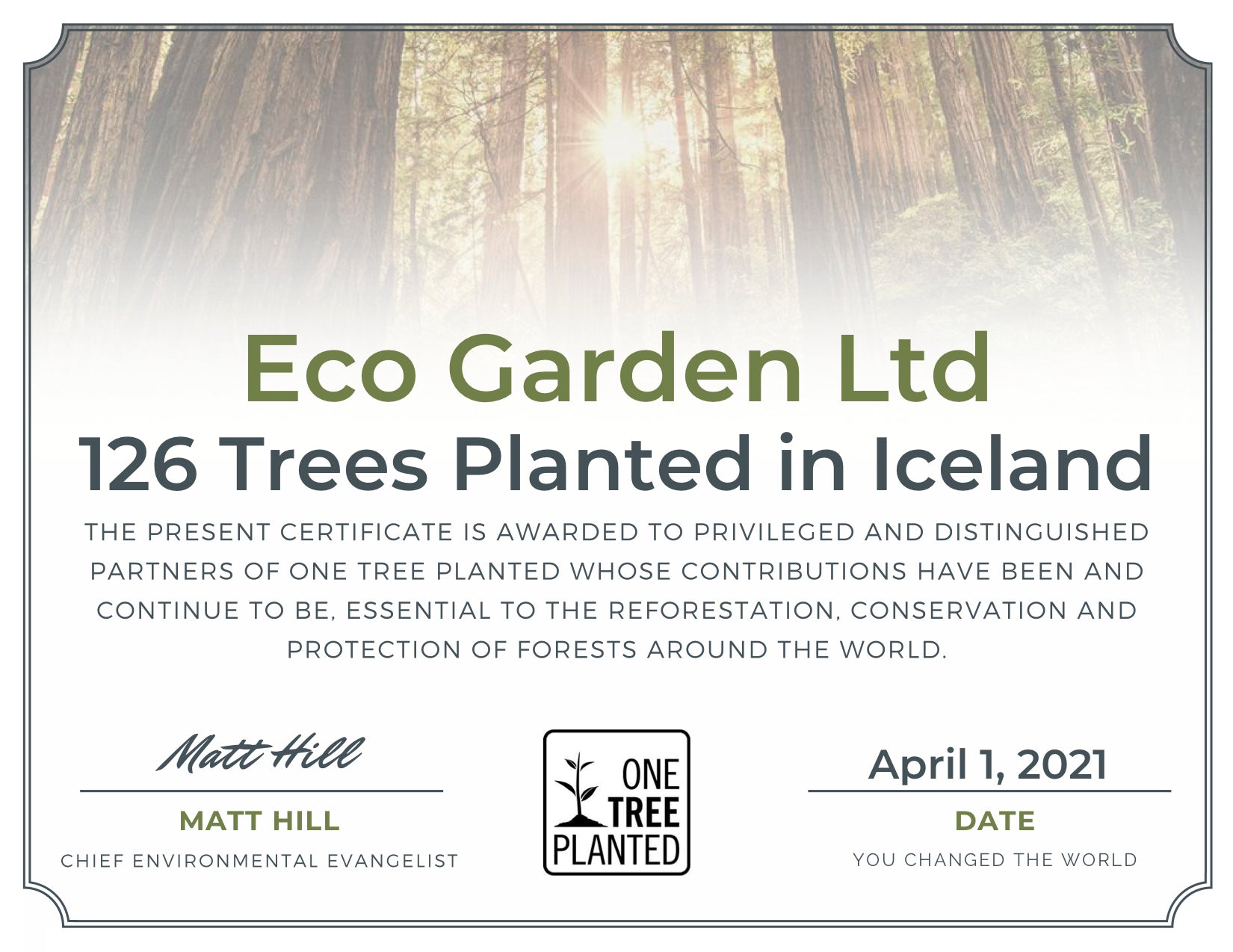 126 Trees Planted in 🇮🇸 & A Warm Thank You!