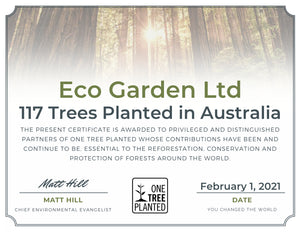 117 Trees Planted This Month in...Australia! 🌳🦘