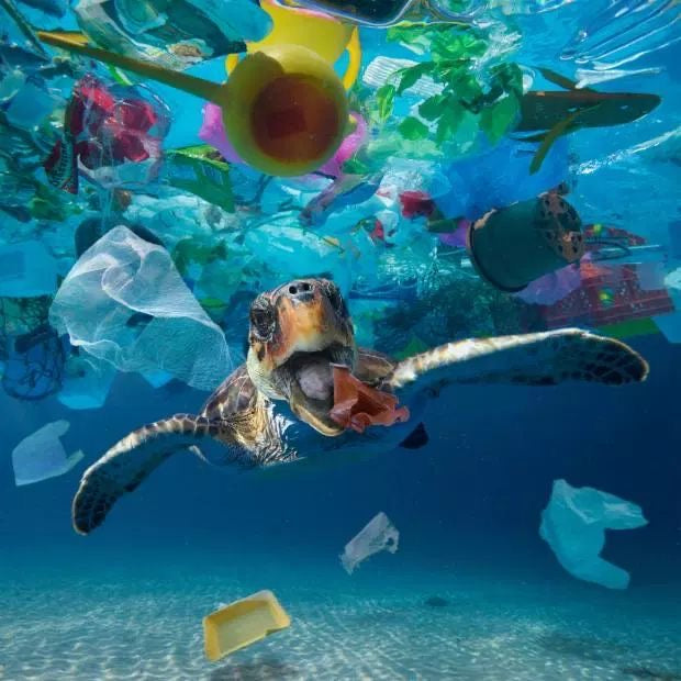 A Drop In The Ocean, Diving Into Our Plastic-Free Product Research