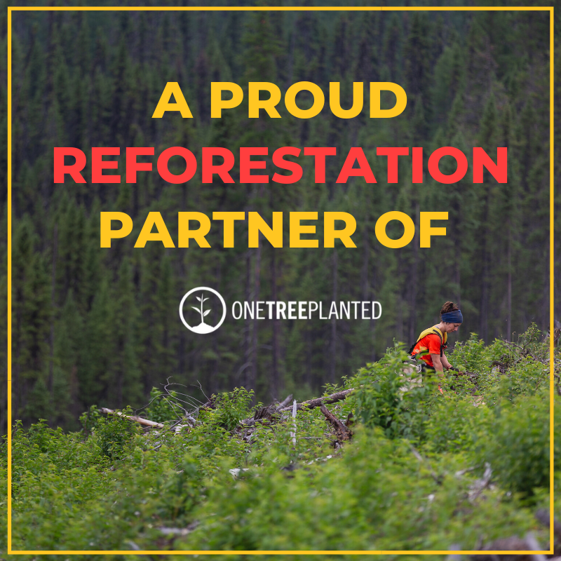 Partnering with One Tree Planted & A Little Rambling